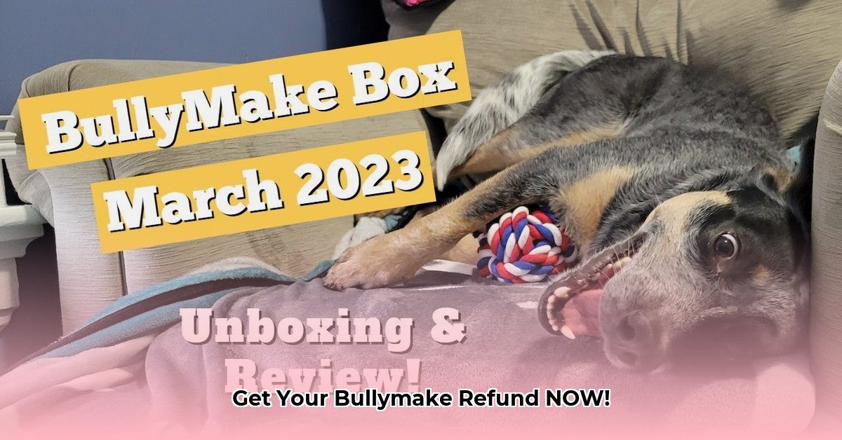 how-to-cancel-bullymake